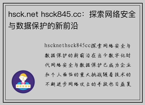 hsck.net hsck845.cc：探索网络安全与数据保护的新前沿