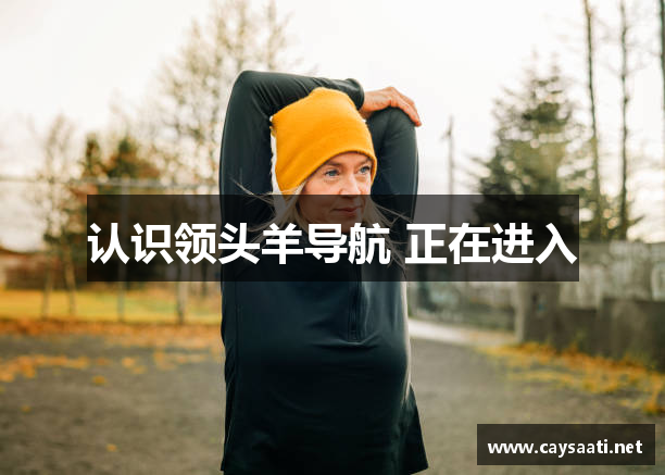 认识领头羊导航 正在进入